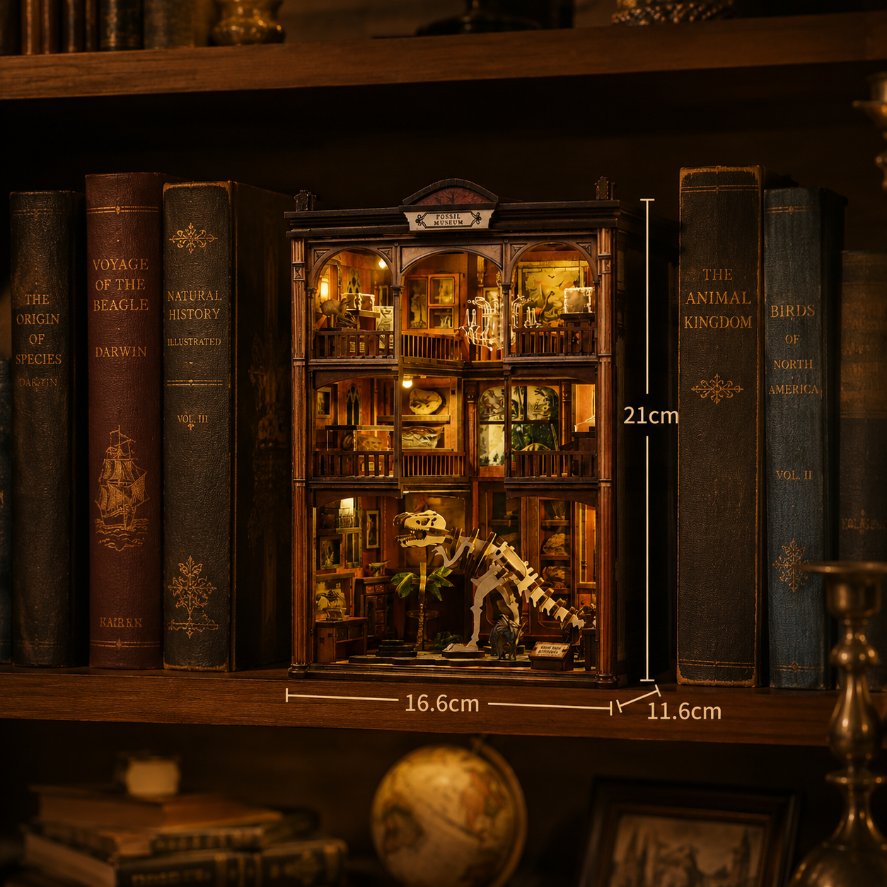 Fossilienmuseum Book Nook kit