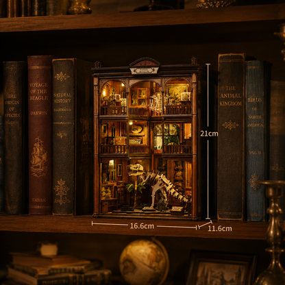 Fossilienmuseum Book Nook kit